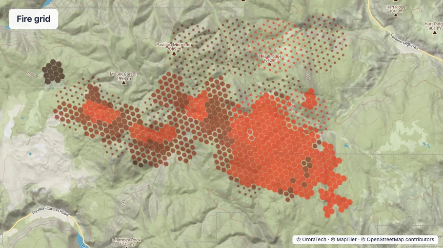 Fire grid